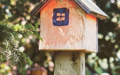 Build A Birdhouse – April 2023